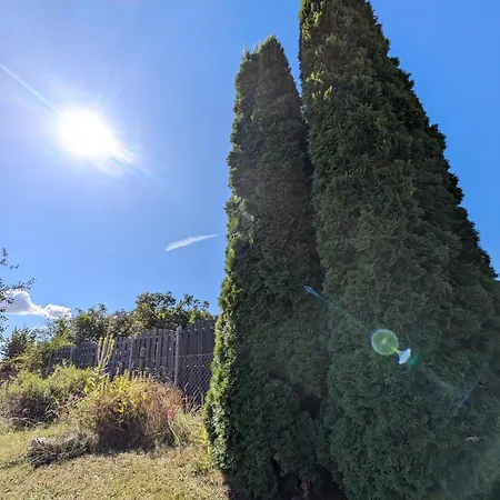 別荘 Queen Of Safran